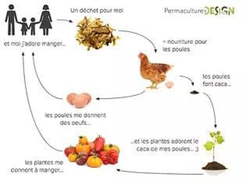 permaculture_cycle des dechets